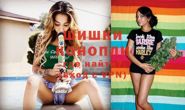 шишки Алексин
