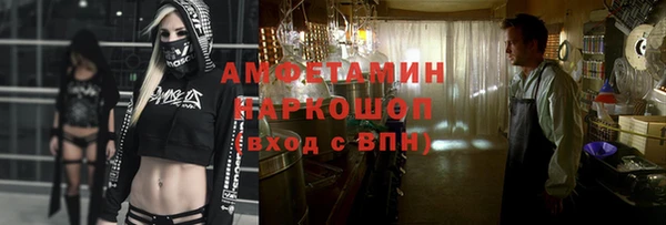 шишки Алексин